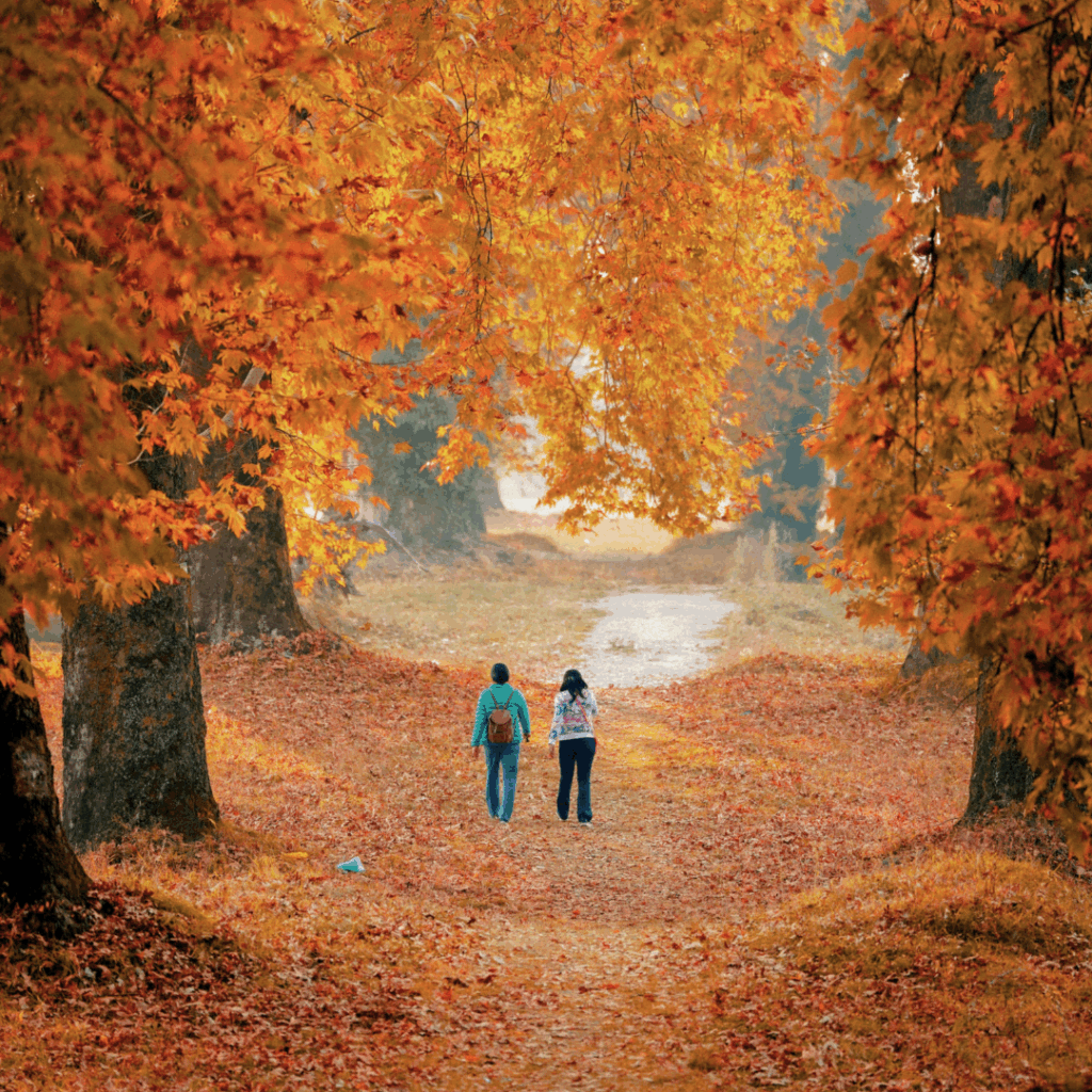 pakiet promocyjny jesienny spa + hotel Pszczyna Tychy